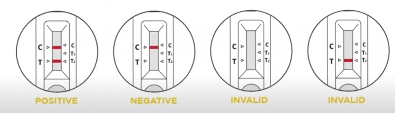 gmate covid 19 saliva home test kit result