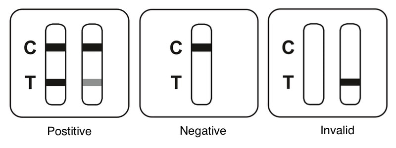 beright sars cov 2 antigen rapid test (nasal swab) for self testing interpreting result