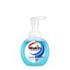walch foaming hand wash 300ml refreshing