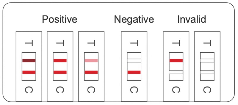 whistling test 2019 ncov saliva ag easy test interpretation
